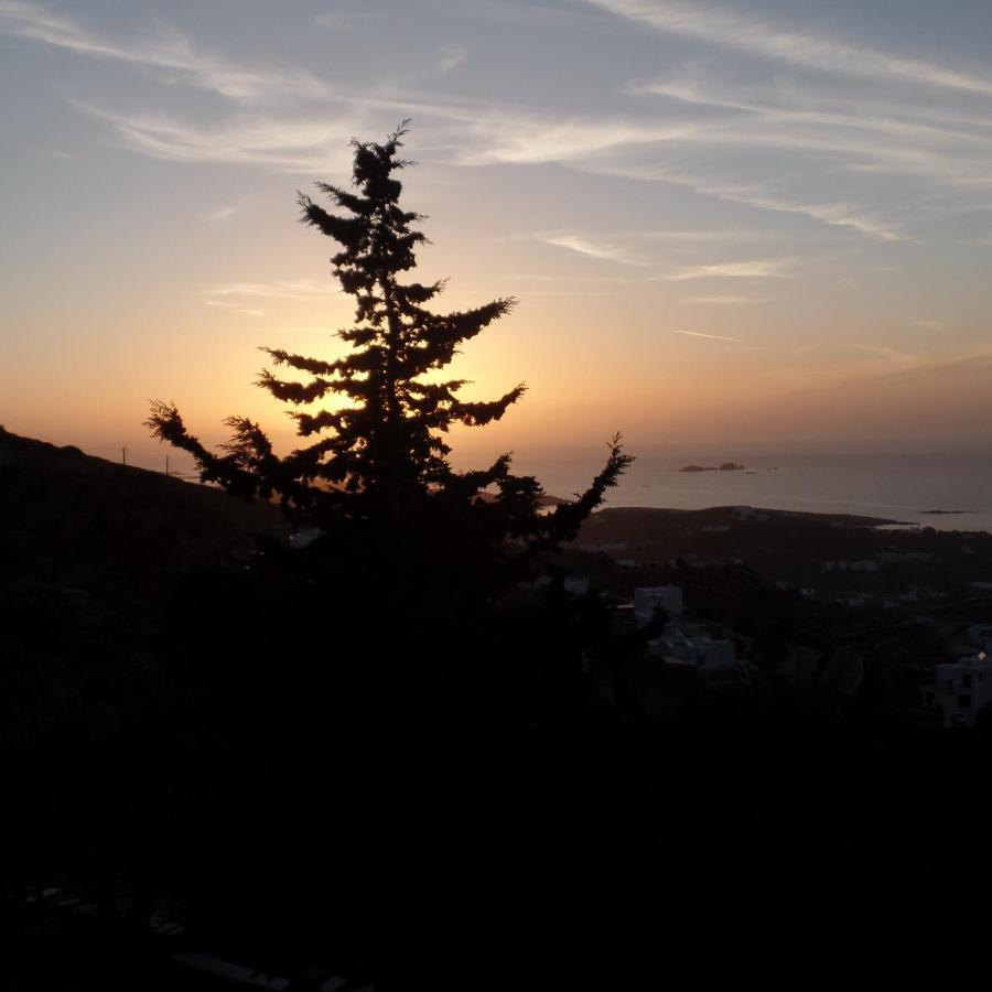 Paros Apartments Cottage Exteriör bild